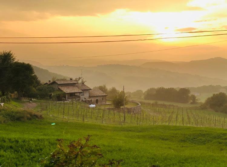 Rossena Fattoria Branciana Bed & Breakfast エクステリア 写真